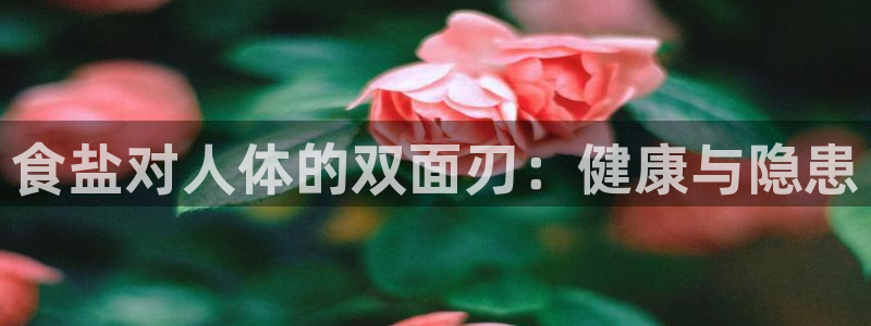 威九国际空降视频