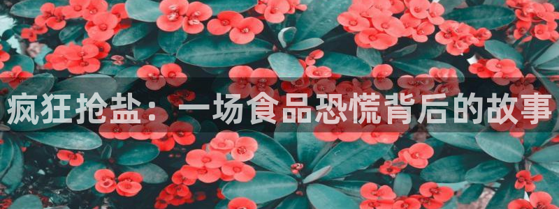 威九国际可以退钱吗怎么退款