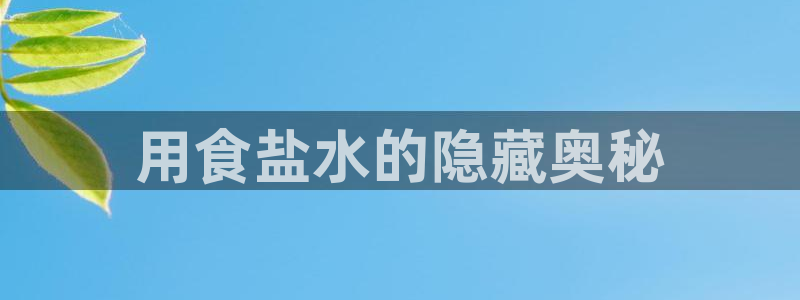 威九国际66m免费版