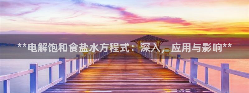 威九国际H