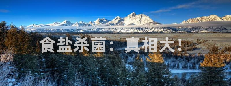 保定威九网络科技有限公司