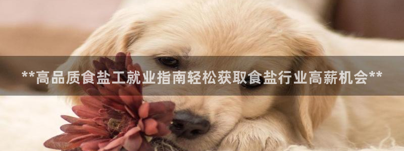 威九国际网站人入口