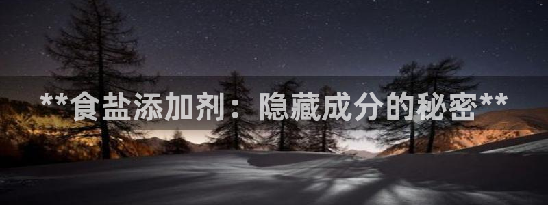 威九国际软件