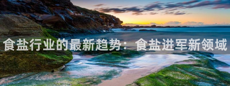 威九国际w98