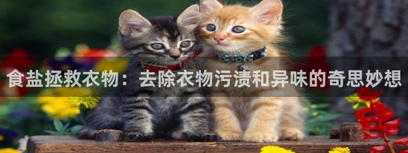 威九国际清砖码头怎么样