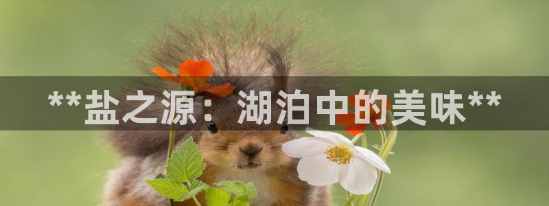 威九国际旗下艺人
