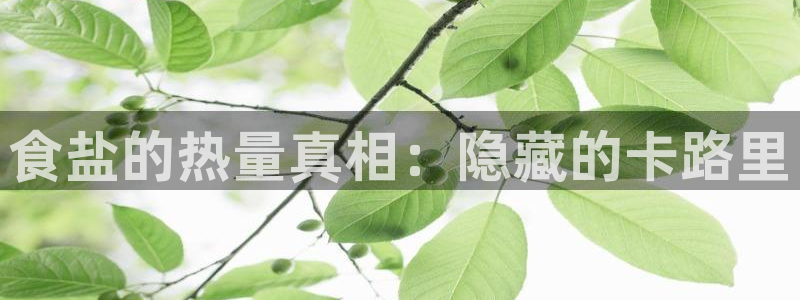 78mapp威九国际媒体央视
