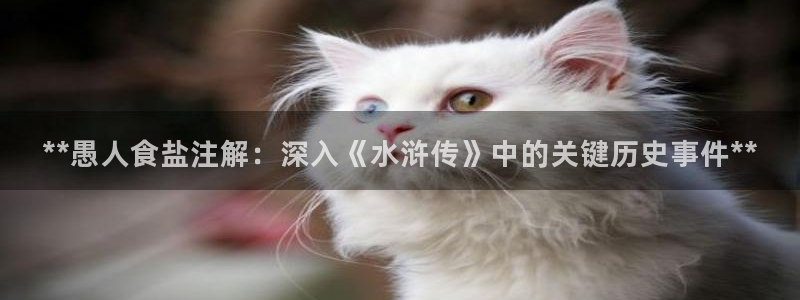 威九国际78mb42- MBA中文
