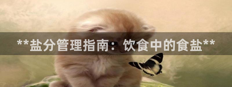 威九国际动漫