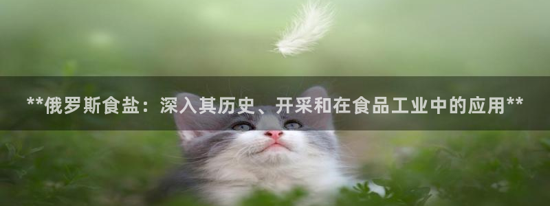 威九国际网站游戏