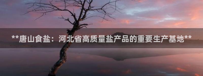 威九国际的女主