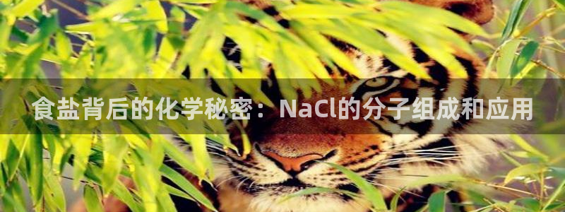 威九国际78mob游戏亮点