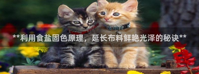 78mapp威九国际官网版