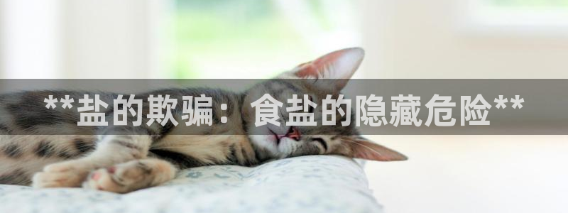 威九国际女演员名单介绍