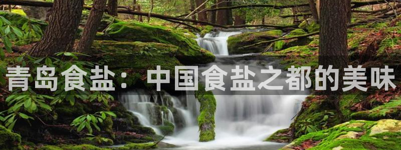 威九国际女主名字
