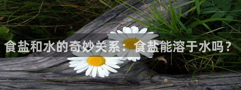 威九国际网站怎么样