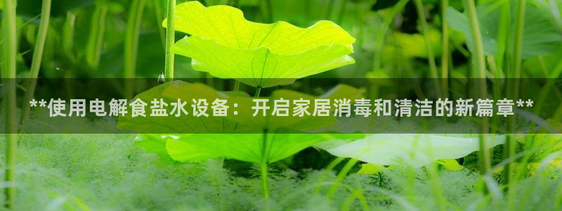 威九国际v96BET