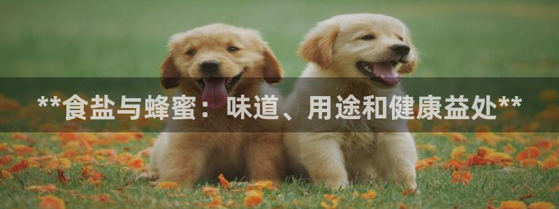 威九国际的金融服务怎么样