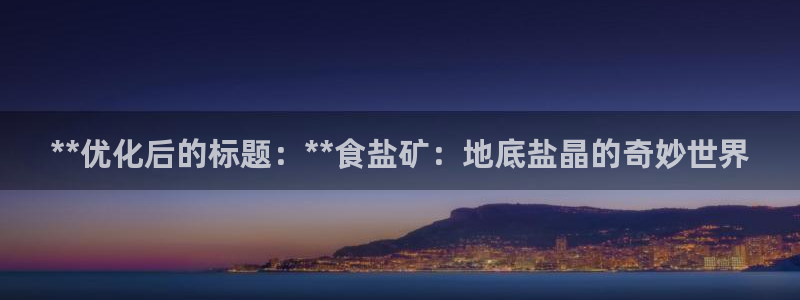 威九国际X8