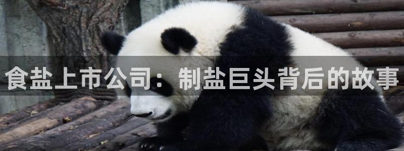 威九国际78mb游戏