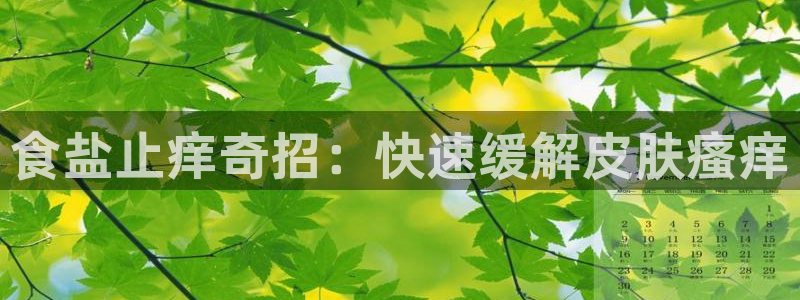 威九国际地址