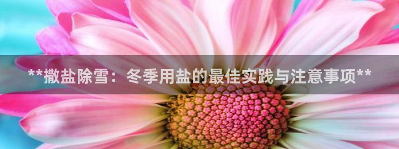 威九国际网站进入客服中心了吗