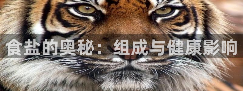 威九国际官方网站最新版本更新内容介绍