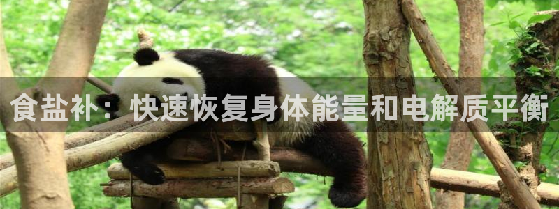 威九国际游戏网站