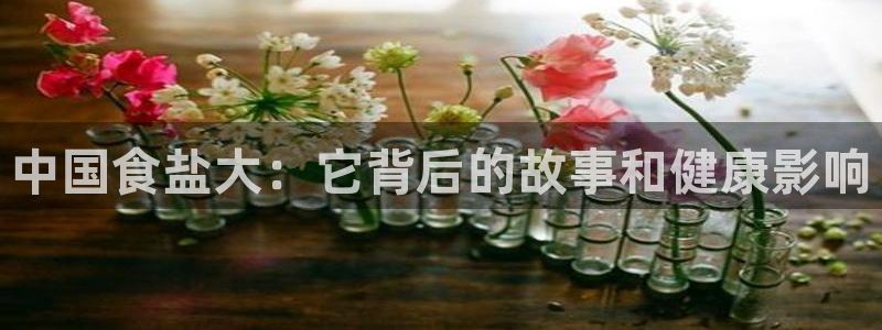 保定威九网络科技有限公司