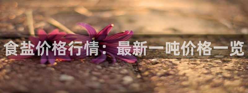 威九国际网站入口官网首页下载