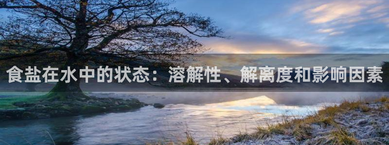 威九国际电视