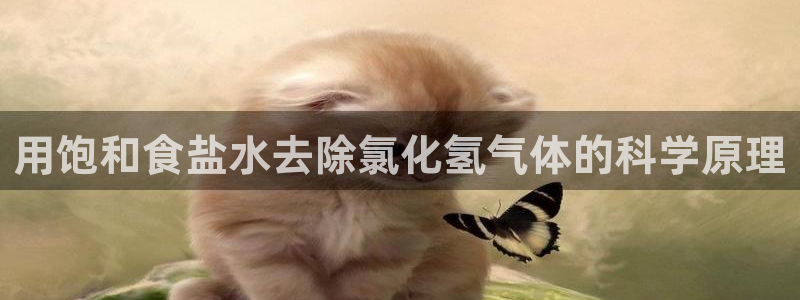 威九国际网站官网