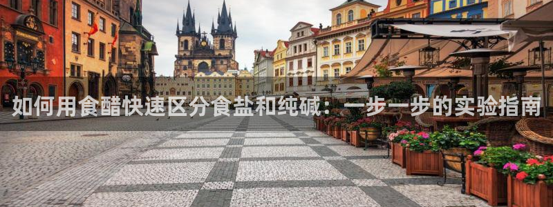 威九国际旗下艺人有谁
