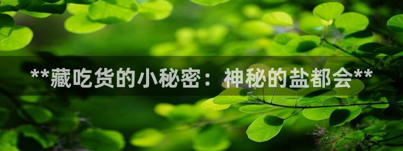 威九国际女主名字