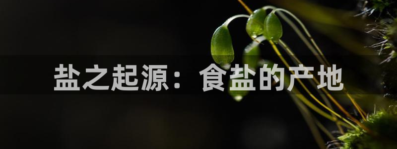 威九国际78mb42斗罗大陆