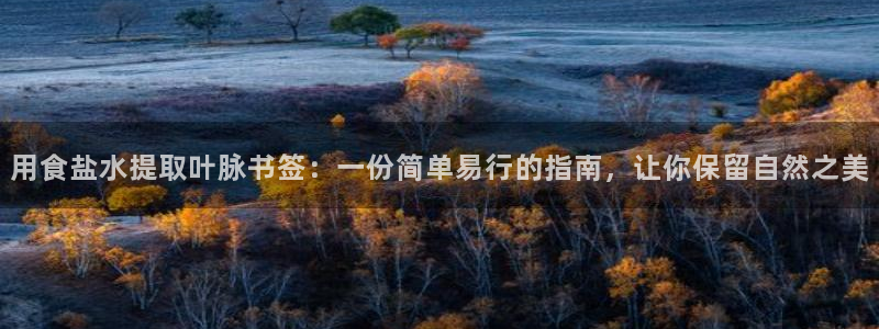 78mppt威九国际