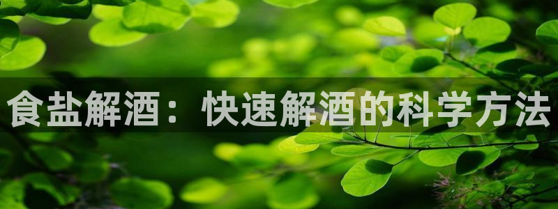 威九国际的演员