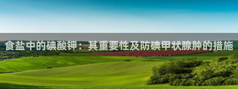 威九国际替好友去