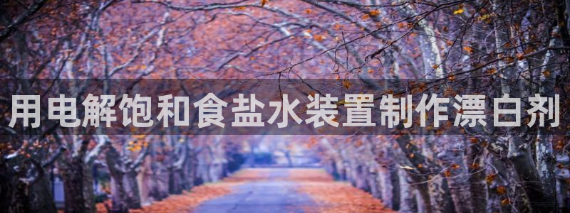 威九国际ppt免费下载