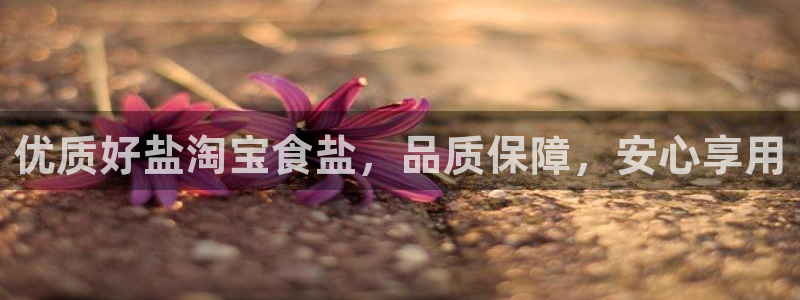 威九国际网站入口官网免费