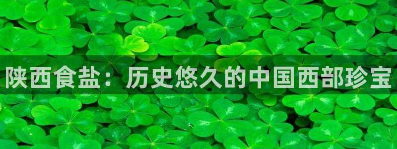 威九国际精选酒店电话