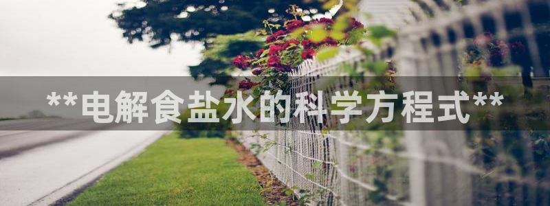 威九国际网站入口地址在哪里