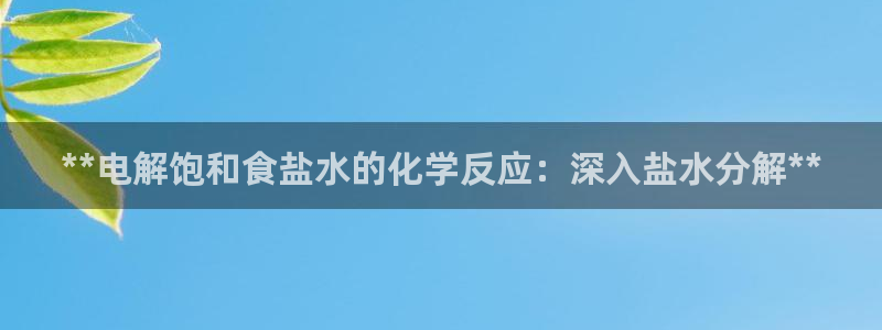 威九国际66m免费下载