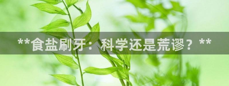 威九国际女演员名单介绍