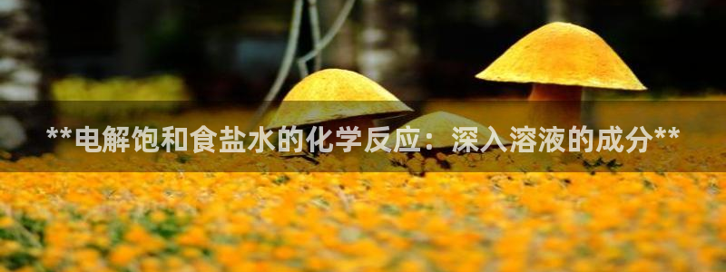威九国际地址