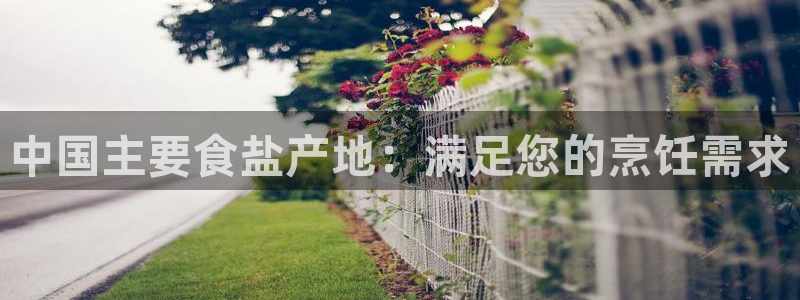 威九国际v96BET