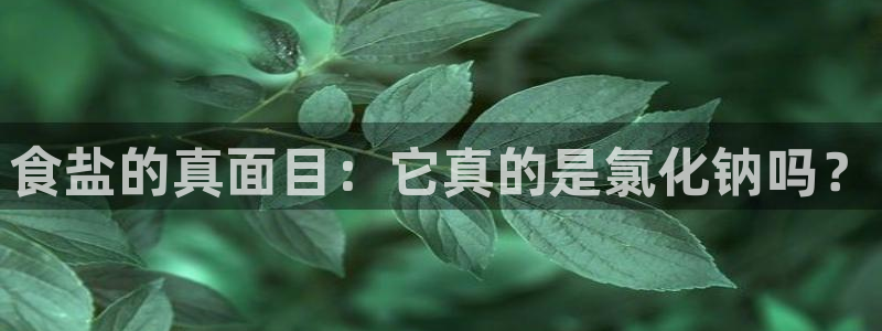 威九国际清砖码头在哪