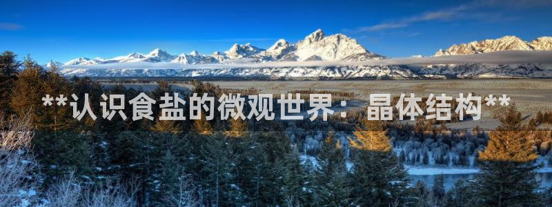 保定威九网络科技有限公司招聘