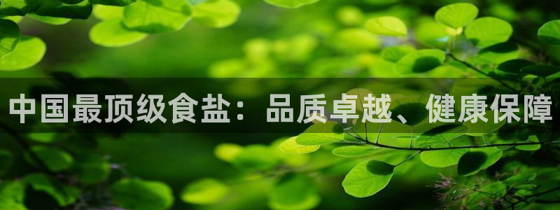 威九国际的演员