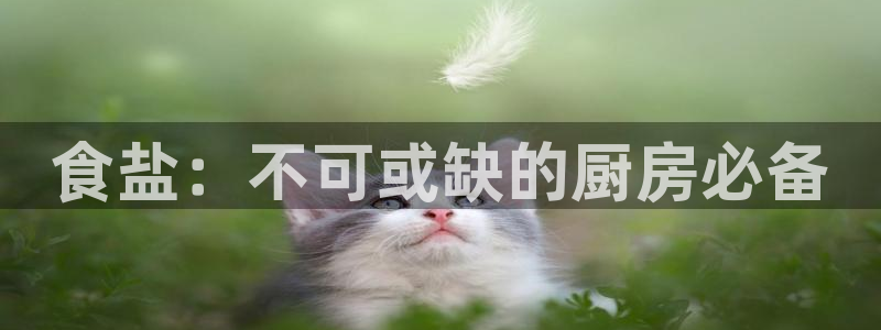 威九国际取款不会被骗吧吗